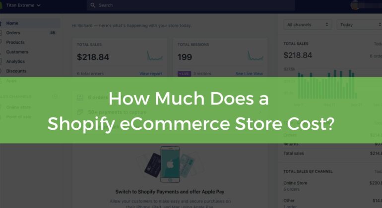 How much does Shopify eCommerce Cost