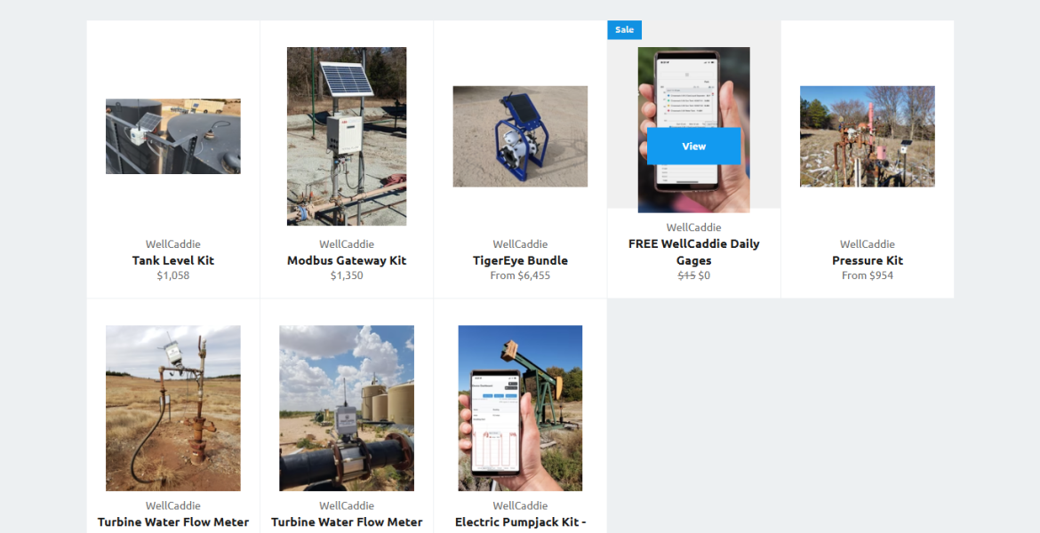 screencapture-shop-wellcaddie-collections-kits-2025-08-20-18_29_42